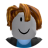 roblox_user_10166655219