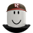 roblox_user_133864634