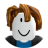 roblox_user_1543182510