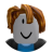 roblox_user_1663926748