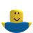 roblox_user_2480279773