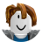 roblox_user_3036223395