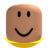 roblox_user_3118145029
