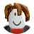 roblox_user_3125880982