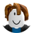 roblox_user_3142913101