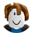 roblox_user_3169621220